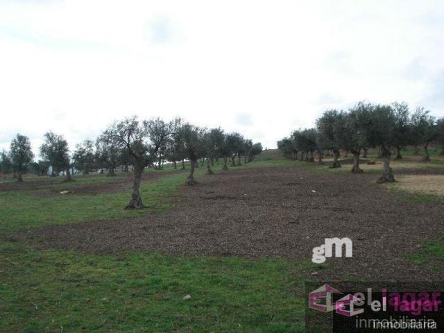 Terreno Urbanizable En venta en San Gregorio, Montijo photo 0