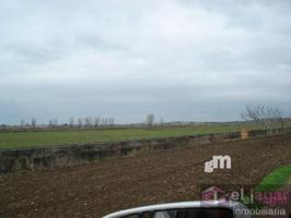Terreno Urbanizable En venta en Ctra Torremayor, Montijo photo 0