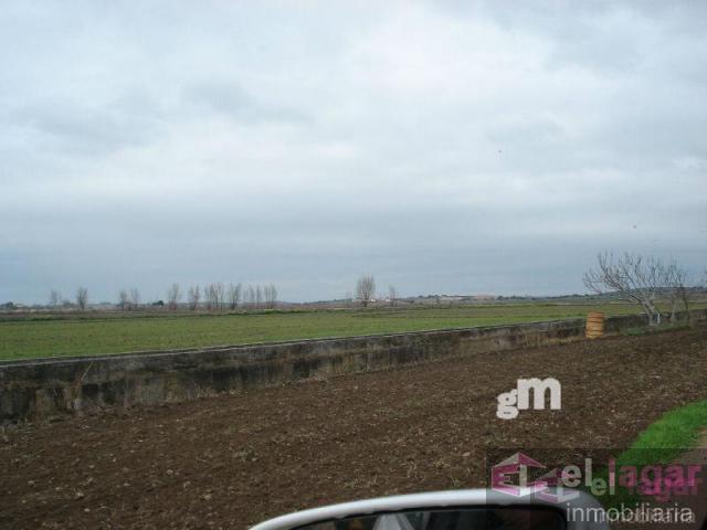Terreno Urbanizable En venta en Ctra Torremayor, Montijo photo 0