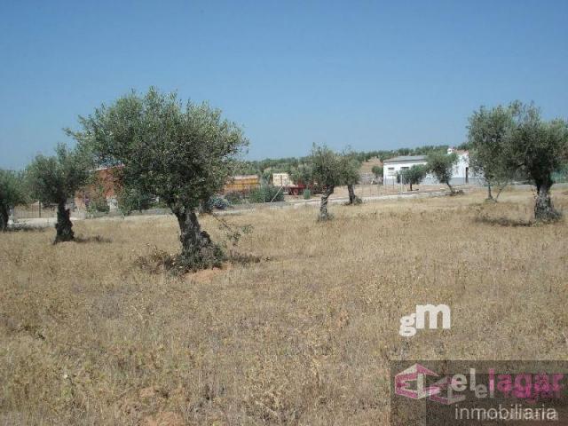 Terreno Urbanizable En venta en Cerro De San Gregorio, Montijo photo 0