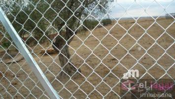 Terreno Urbanizable En venta en San Gregorio, Montijo photo 0