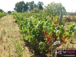 Terreno Urbanizable En venta en Ctra De La Roca, Montijo photo 0