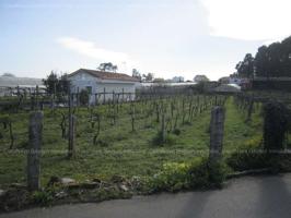 Venta Parcela-Finca - Las Sinas, Vilanova de Arousa, Pontevedra photo 0