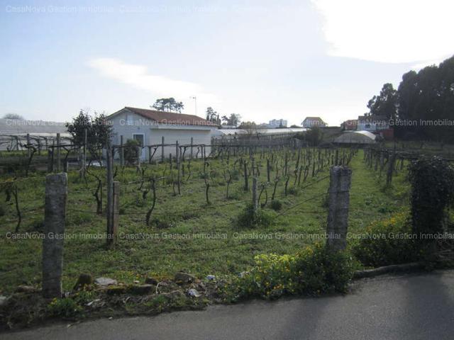 Venta Parcela-Finca - Las Sinas, Vilanova de Arousa, Pontevedra photo 0