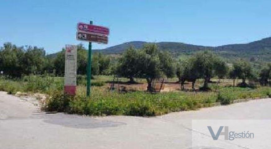 Terreno Urbanizable En venta en Los Llanos, Puerto Serrano photo 0