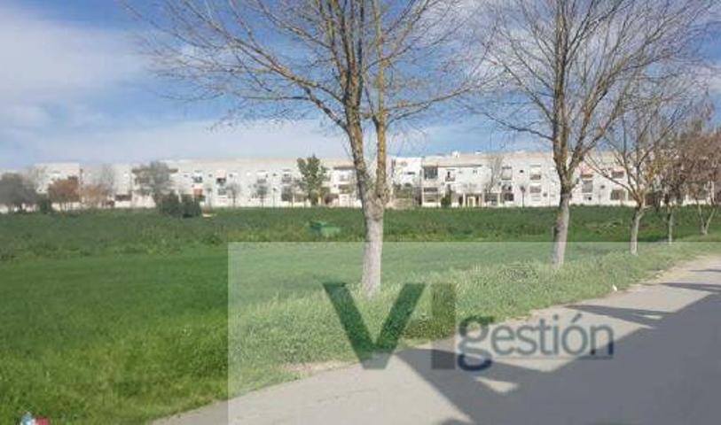 Terreno Urbanizable En venta en Camino De Bornos, Villamartín photo 0