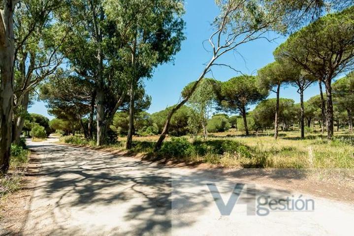 Terreno Urbanizable En venta en Novo Santi Petri, Chiclana De La Frontera photo 0