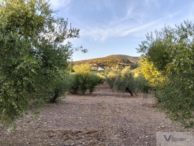 Terreno Urbanizable En venta en Huerta Nueva, Puerto Serrano photo 0
