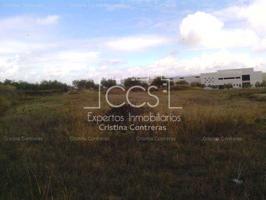 Venta y alquiler de parcela de suelo terciario de 2.000m2 en Olivares ( Sevilla) photo 0