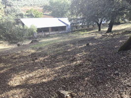 Venta de Finca Rústica de 7,4675 ha. de encinas y alcornoques con nave y casa en en Cazalla de la Sierra.600 m2 photo 0
