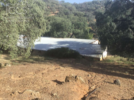 Venta de Finca Rústica de 7,4675 ha. de encinas y alcornoques con nave y casa en en Cazalla de la Sierra.600 m2 photo 0