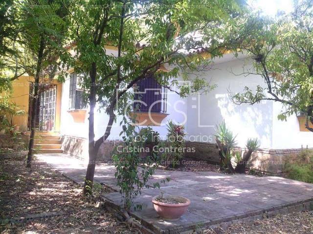 Venta de Casa chalet de 2.600 m2 de parcela y 150 m2 construidos en Espartinas. photo 0