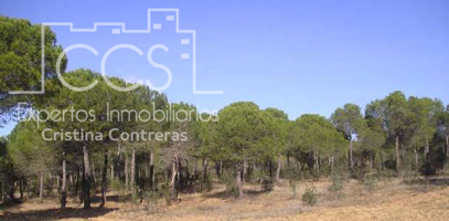 Venta de Finca de 1.587 ha en Cabezas Rubias (Huelva) photo 0