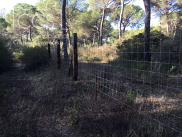 Venta de finca Forestal EN PROPIEDAD de 4 ha,  de terreno,  con proyecto aprobado de 430 m2 para nave forestal. photo 0