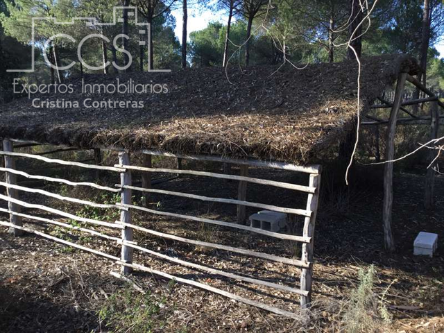 Venta de finca Forestal EN PROPIEDAD de 4 ha,  de terreno,  con proyecto aprobado de 430 m2 para nave forestal. photo 0