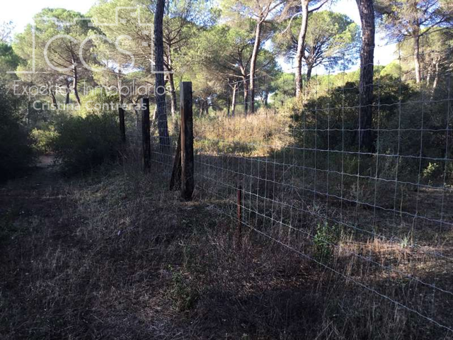 Venta de finca Forestal EN PROPIEDAD de 4 ha,  de terreno,  con proyecto aprobado de 430 m2 para nave forestal. photo 0