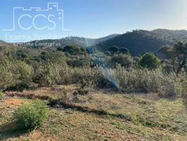 Venta de finca de 6Ha. en El Castillo de las Guardas junto a la Reserva Natural. photo 0