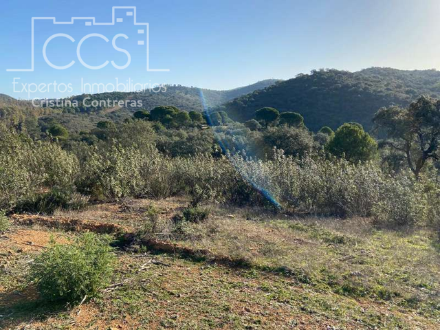 Venta de finca de 6Ha. en El Castillo de las Guardas junto a la Reserva Natural. photo 0