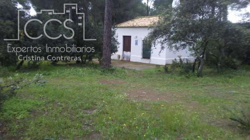 Venta de finca EN PROPIEDAD de 2.5Ha con vivienda de 80m2 construídos, en Almonte (Huelva). photo 0