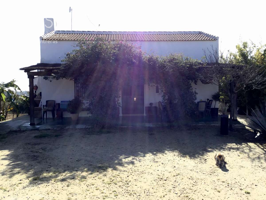 Venta de finca EN CONCESIÓN con vivienda de 90m2 y parcela de 5.400m2, en Almonte, ( Huelva) EN CONCESIÓN photo 0