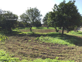 Venta de finca urbana de 2.000 m2  de terreno sin construcción En Espartinas. photo 0