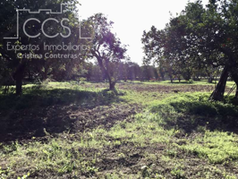 Venta de finca urbana de 2.000 m2  de terreno sin construcción En Espartinas. photo 0