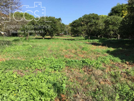 Venta de finca urbana de 2.000 m2  de terreno sin construcción En Espartinas. photo 0