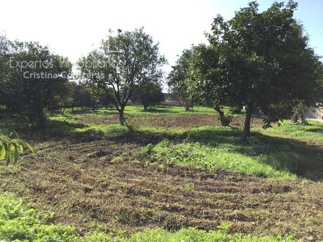 Venta de finca urbana de 2.000 m2  de terreno sin construcción En Espartinas. photo 0