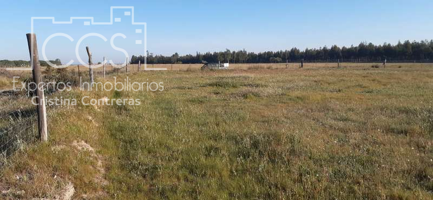 Venta de finca de 26.700 m2 en Almonte, (Huelva) EN CONCESIÓN photo 0