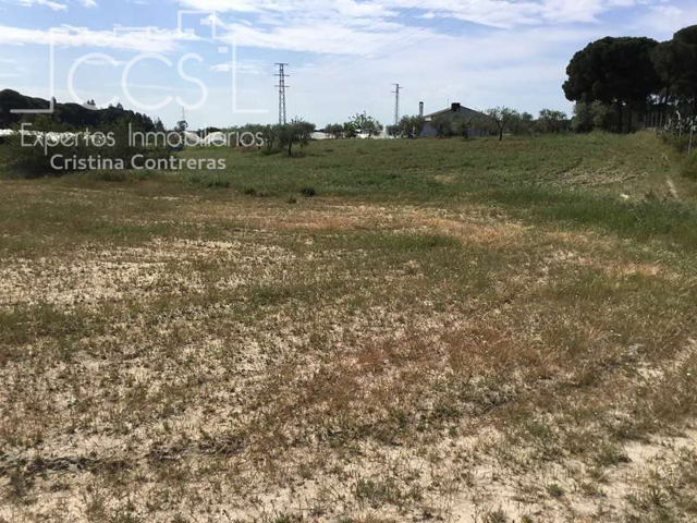 Venta de finca EN CONCESIÓN de 1Ha, con vivienda de 60m2 construídos y cuadra para caballos en Almonte ( Huelva) EN CONCESIÓN, e Almonte photo 0