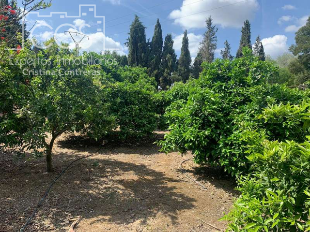 Venta de finca de 1,5Ha en PROPIEDAD Y EN CONCESIÓN, con construcción de 200m2 construidos y jardín de 1.000m2, en Almonte (Huelva) EN PROPIEDAD Y CONCESIÓN photo 0