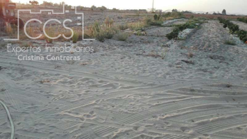Venta de finca en CONCESIÓN de 4 ha de regadío en Almonte. photo 0