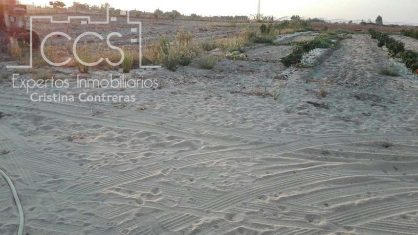 Venta de finca en CONCESIÓN de 4 ha de regadío en Almonte. photo 0