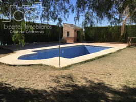 Venta de finca de 2.600 m2 de terreno con casa y piscina en Aznalcázar. photo 0