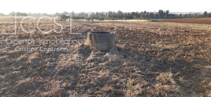 Venta de finca de 1´5Ha en Almonte (Huelva) EN PROPIEDAD photo 0