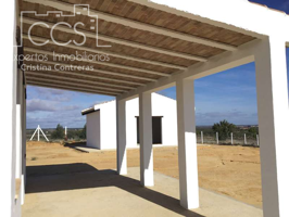 Venta de finca de 17 ha de eucalipto y tierra calma en Almonte. EN PROPIEDAD photo 0