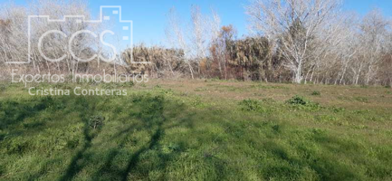 Venta de finca EN PROPIEDAD, de 3Ha de terreno en Almonte. photo 0