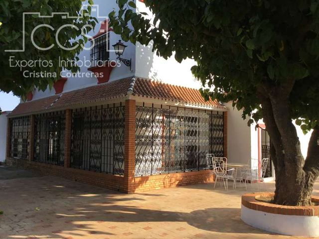 Venta de finca de 11.000 m2 de terreno y 450 m2 construidos en Villanueva del Ariscal. photo 0
