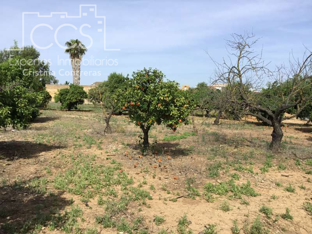 Venta de parcela de 10.288 m2 en el centro de Olivares. photo 0