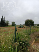 Venta de finca de 12.285 m2 de terreno con casa de madera de 85m2 construidos en Rociana, (Huelva) photo 0