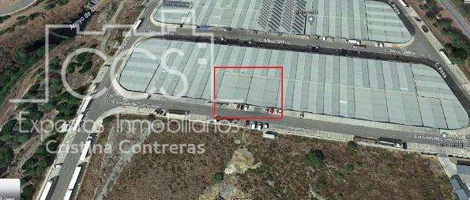Venta de 4 naves industriales de 300m2 cada una, unidas con un total de 1200m2 construídos, en Aznalcollar (Sevilla) photo 0