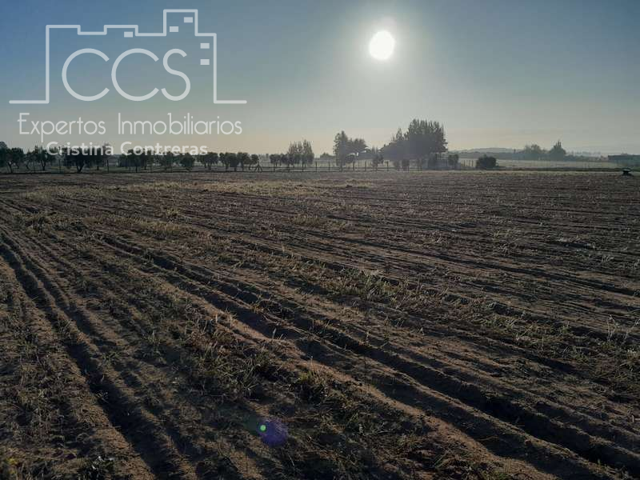 Venta de finca en CONCESIÓN, de 25.000m2 de terreno, en Almonte ( Huelva) photo 0