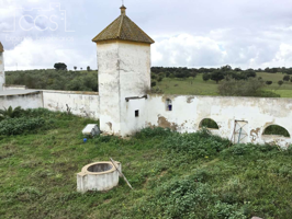 Venta de finca de 4.236 m2 de terreno con 4 construcciones  en total de: 950,75 m2  en  Huévar (Sevilla) photo 0