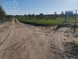 Venta de finca en CONCESIÓN de 20.100 m2 de terreno y casa  de aperos sin terminar  en Almonte (Huelva) photo 0