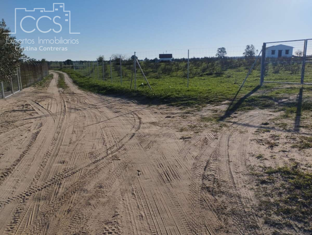 Venta de finca en CONCESIÓN de 20.100 m2 de terreno y casa  de aperos sin terminar  en Almonte (Huelva) photo 0