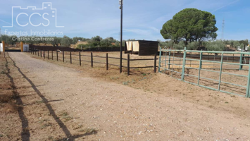 Venta de finca en PROPIEDAD con 19.535m2 de terreno y  nave de 70m2 en Almonte photo 0