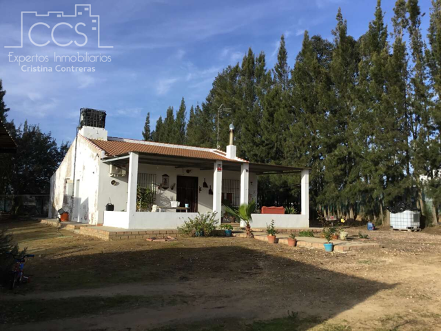 Venta de finca en CONCESIÓN, de 6.200 m2 de terreno, con casa en Almonte photo 0