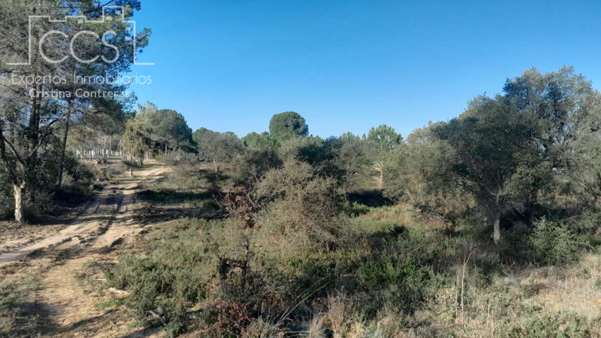 Venta de finca EN PROPIEDAD de 12.600 m2 de terreno en Almonte (Huelva) photo 0