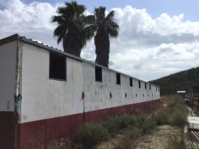 Venta de finca de 63.285 m2 ideal para ganado en Sanlúcar la Mayor. photo 0