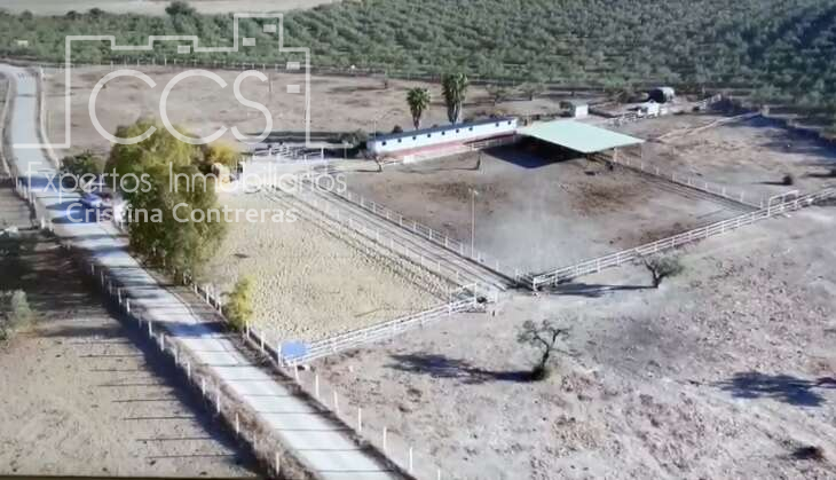 Venta de finca de 63.285 m2 ideal para ganado en Sanlúcar la Mayor. photo 0